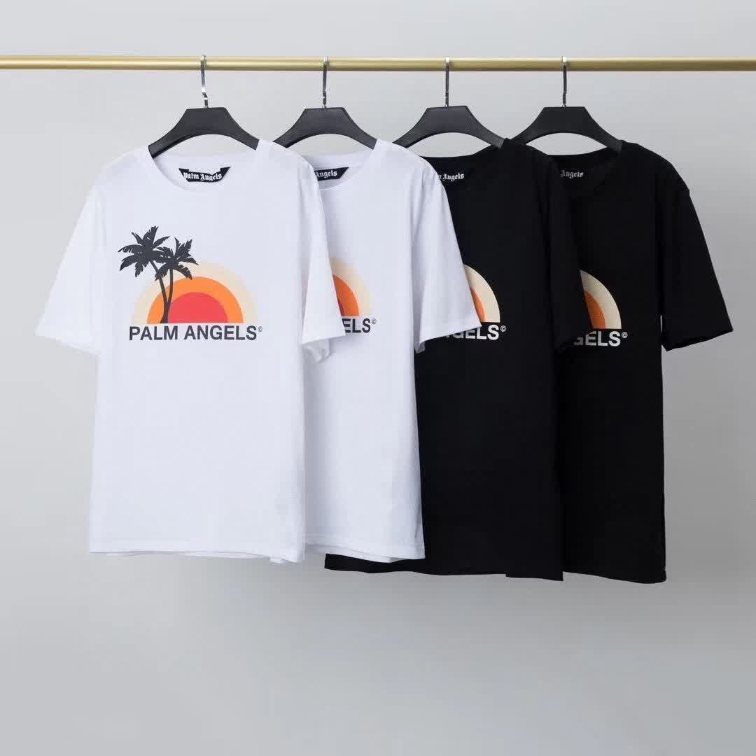PAL01135