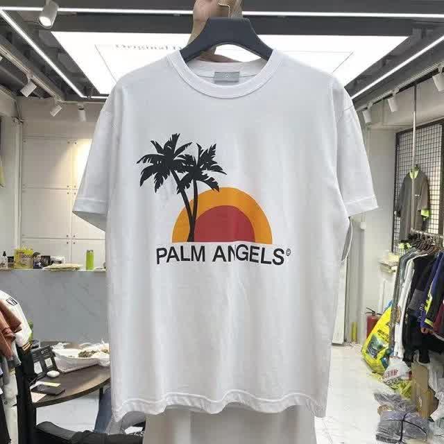 PAL01163