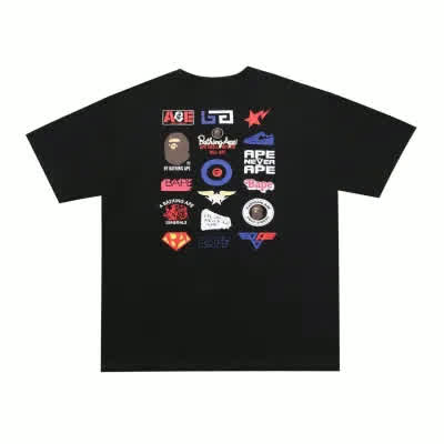 BAT0951
