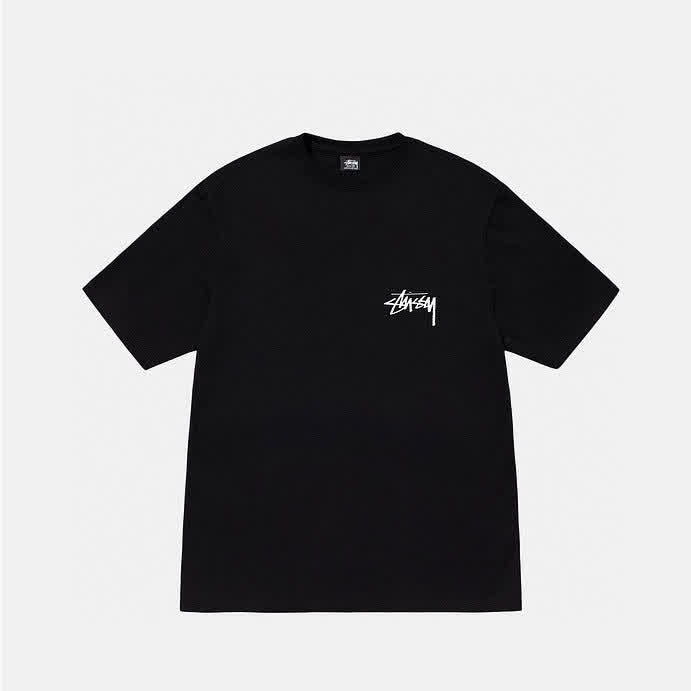 STU0029