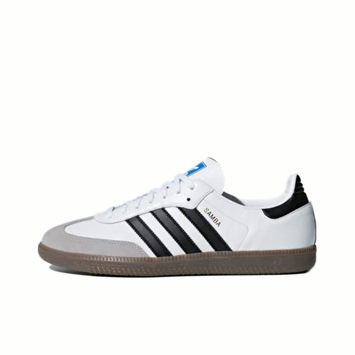 SAMBA 1