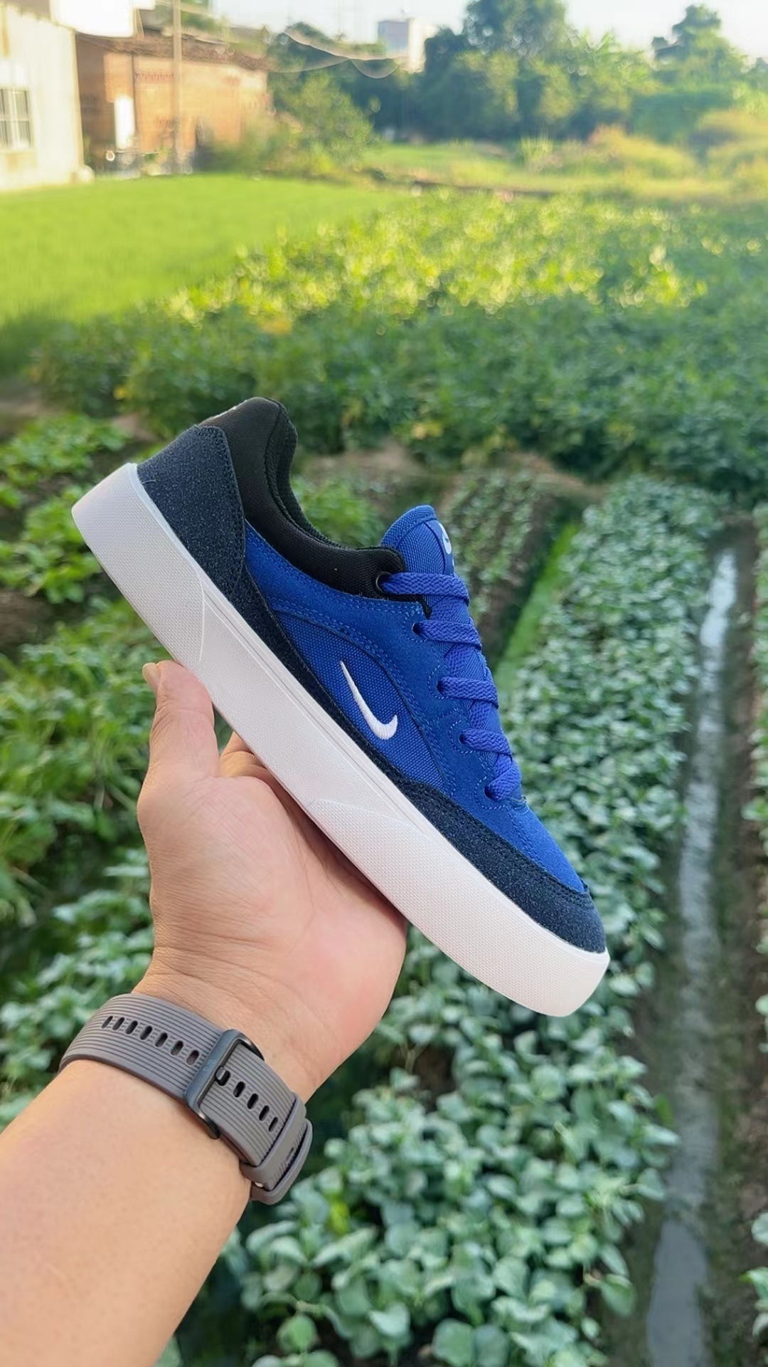 Nike SB