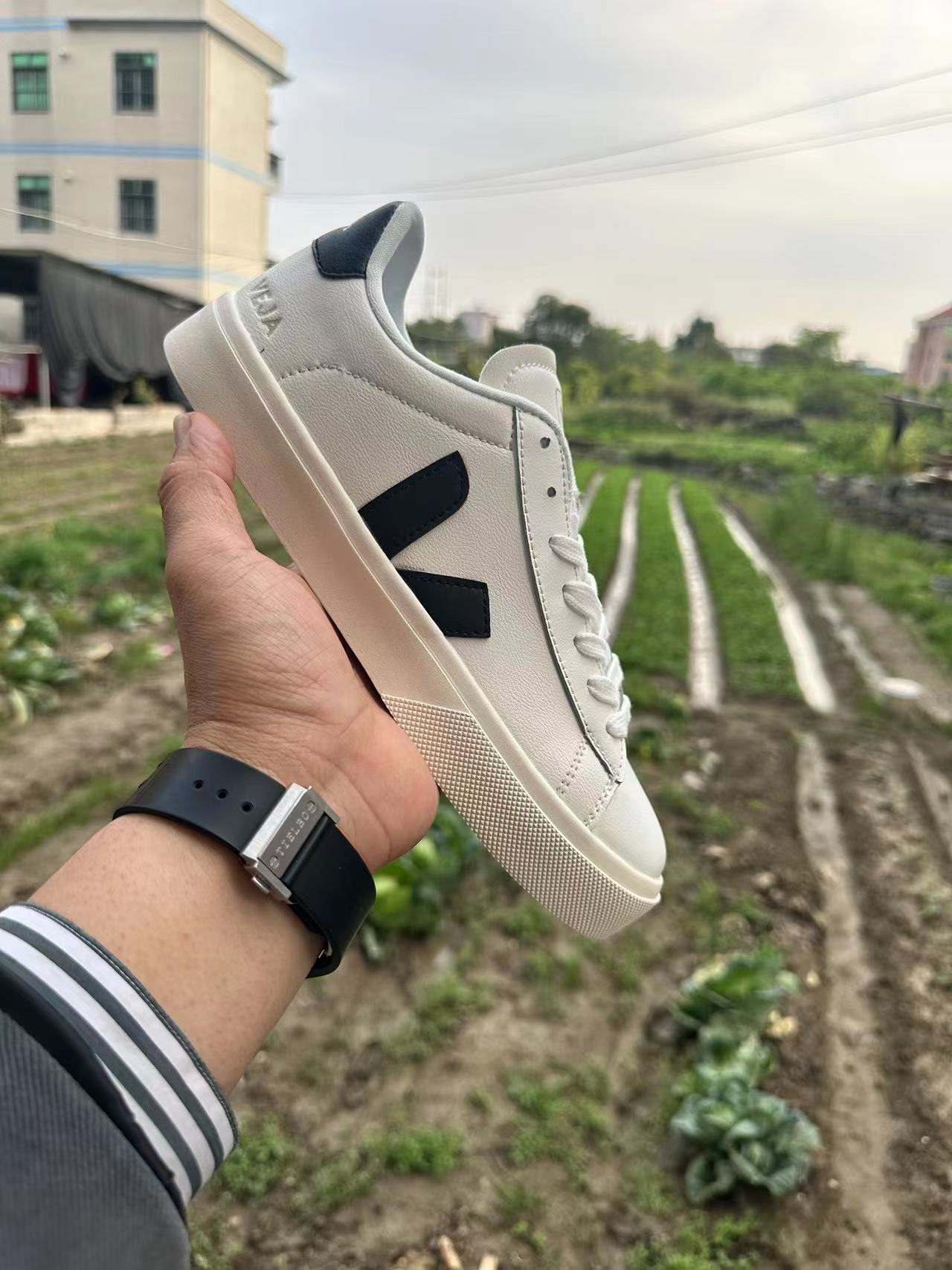 Veja
