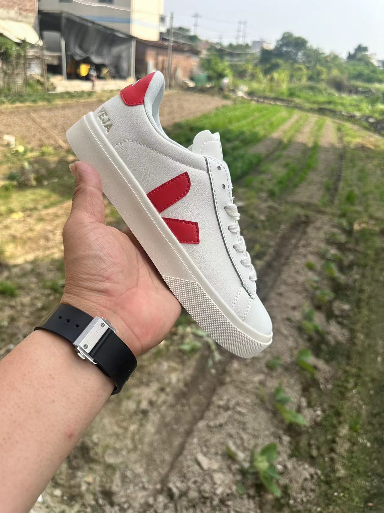 Veja