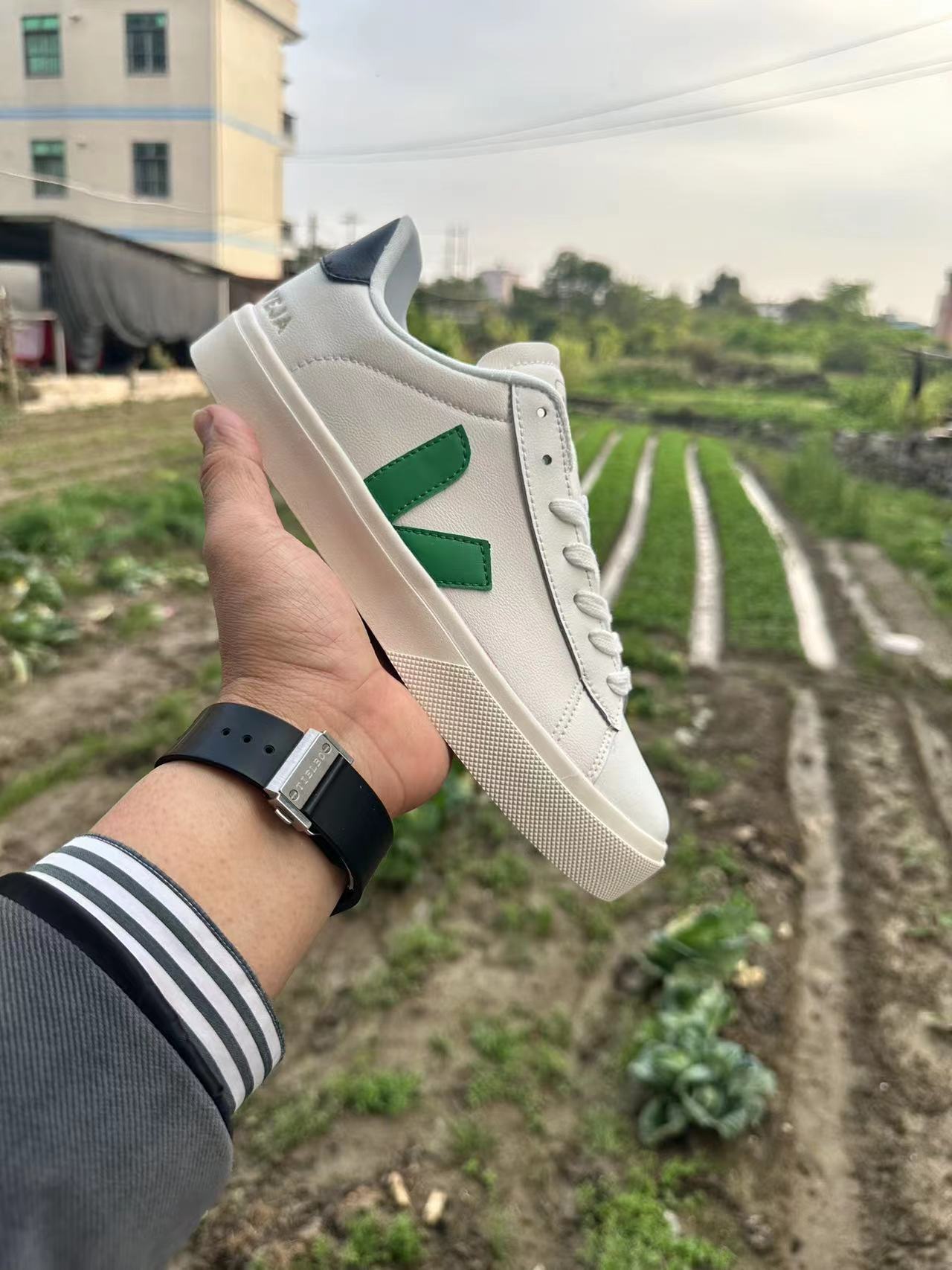 Veja
