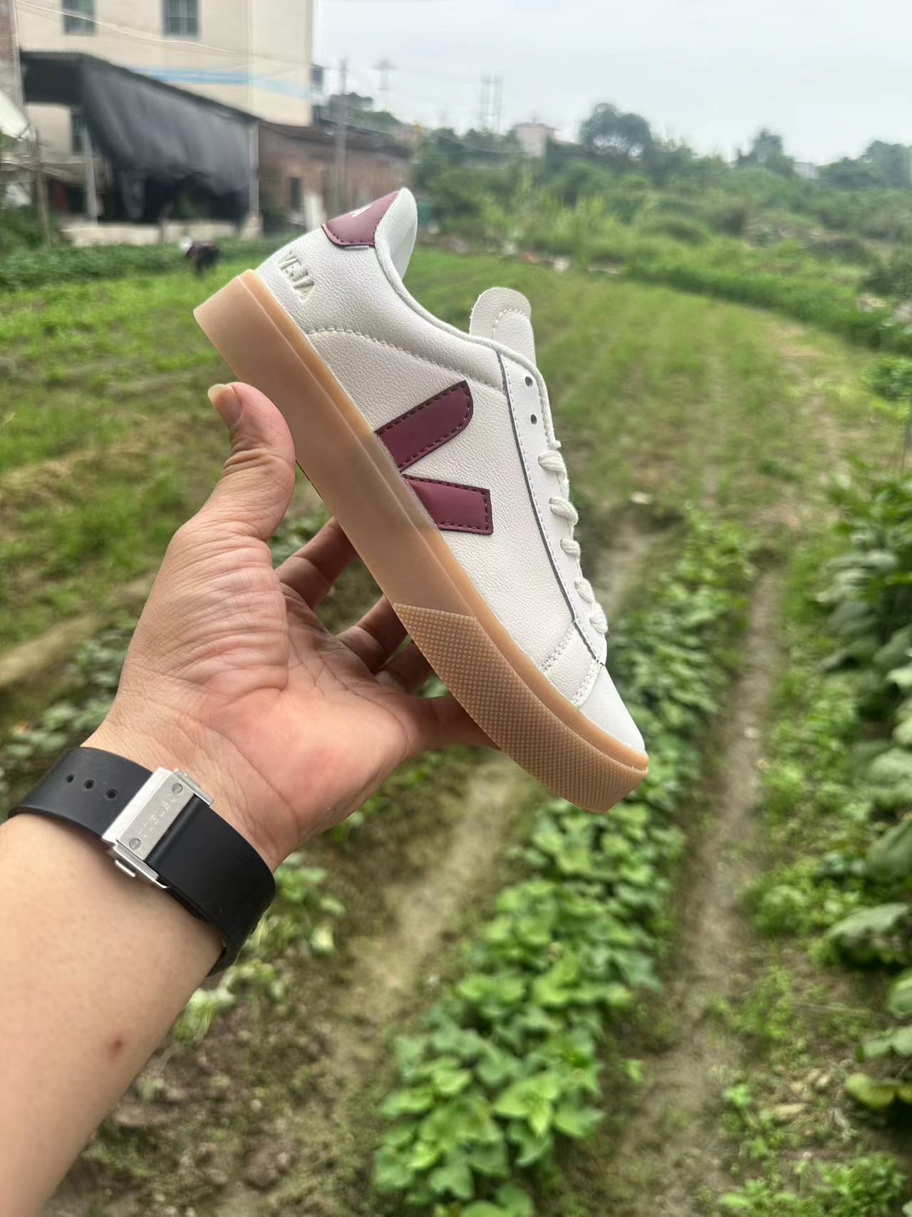 Veja