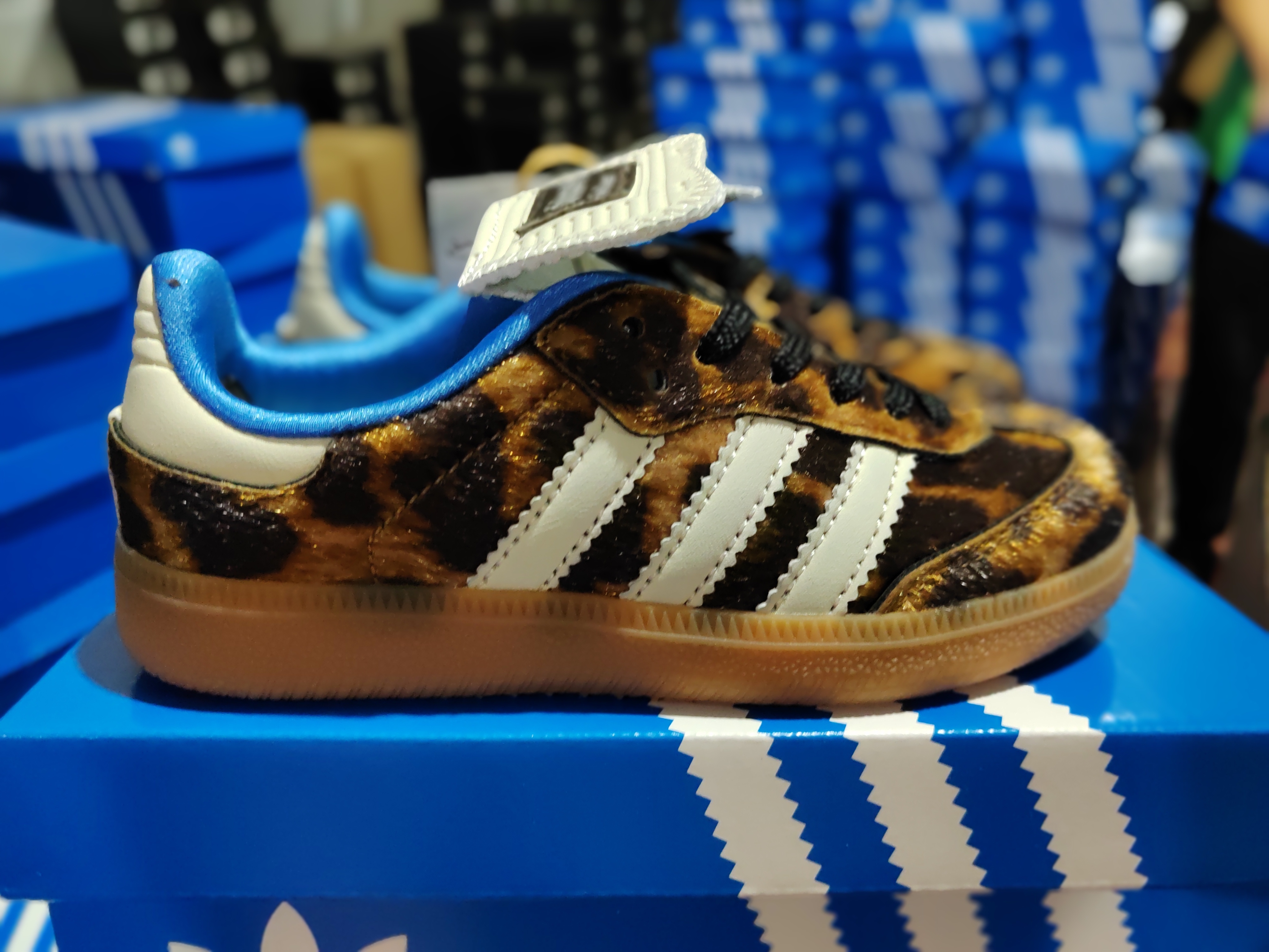 adidas Originals Samba / Gazelle / Handball Spezial