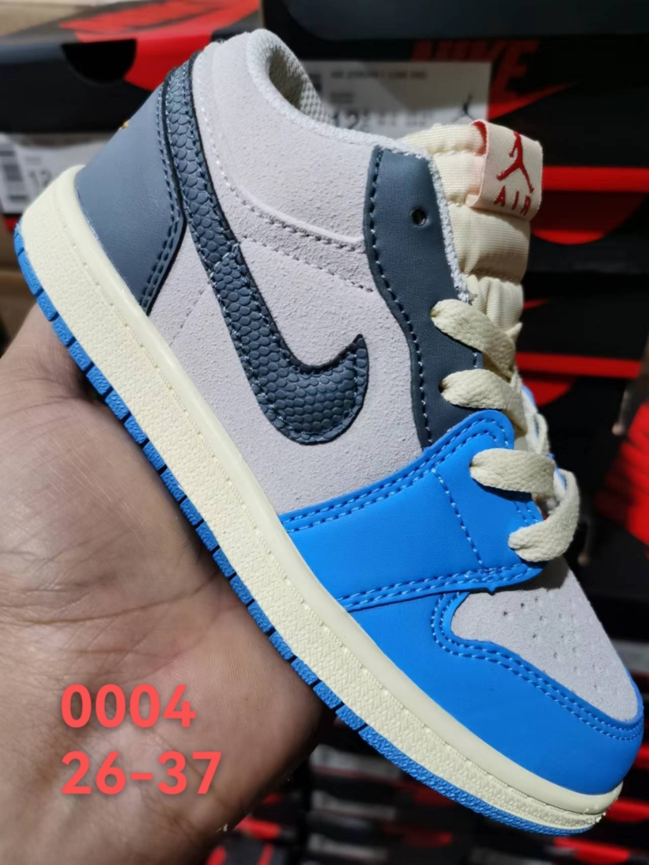 Nike Dunk Low/Air Jordan 1
