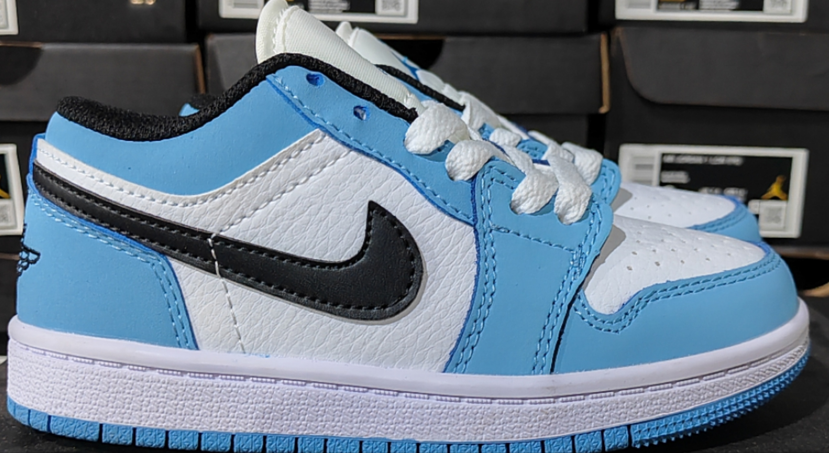Nike Dunk Low/Air Jordan 1