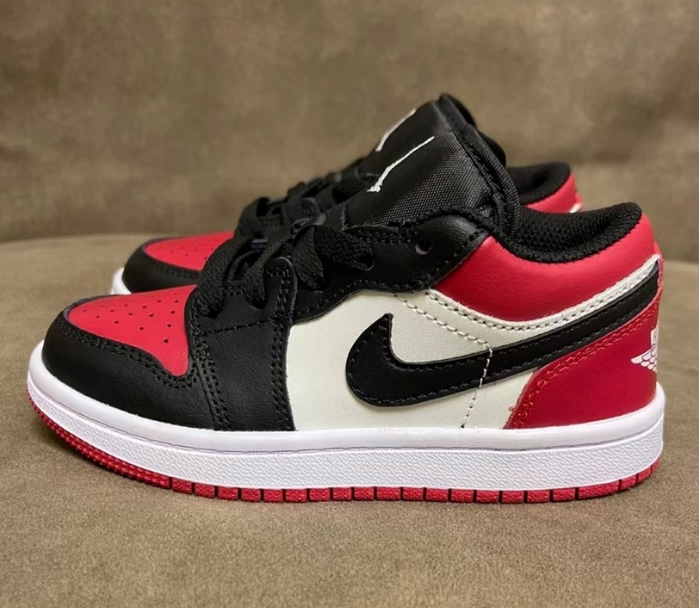 Nike Dunk Low/Air Jordan 1
