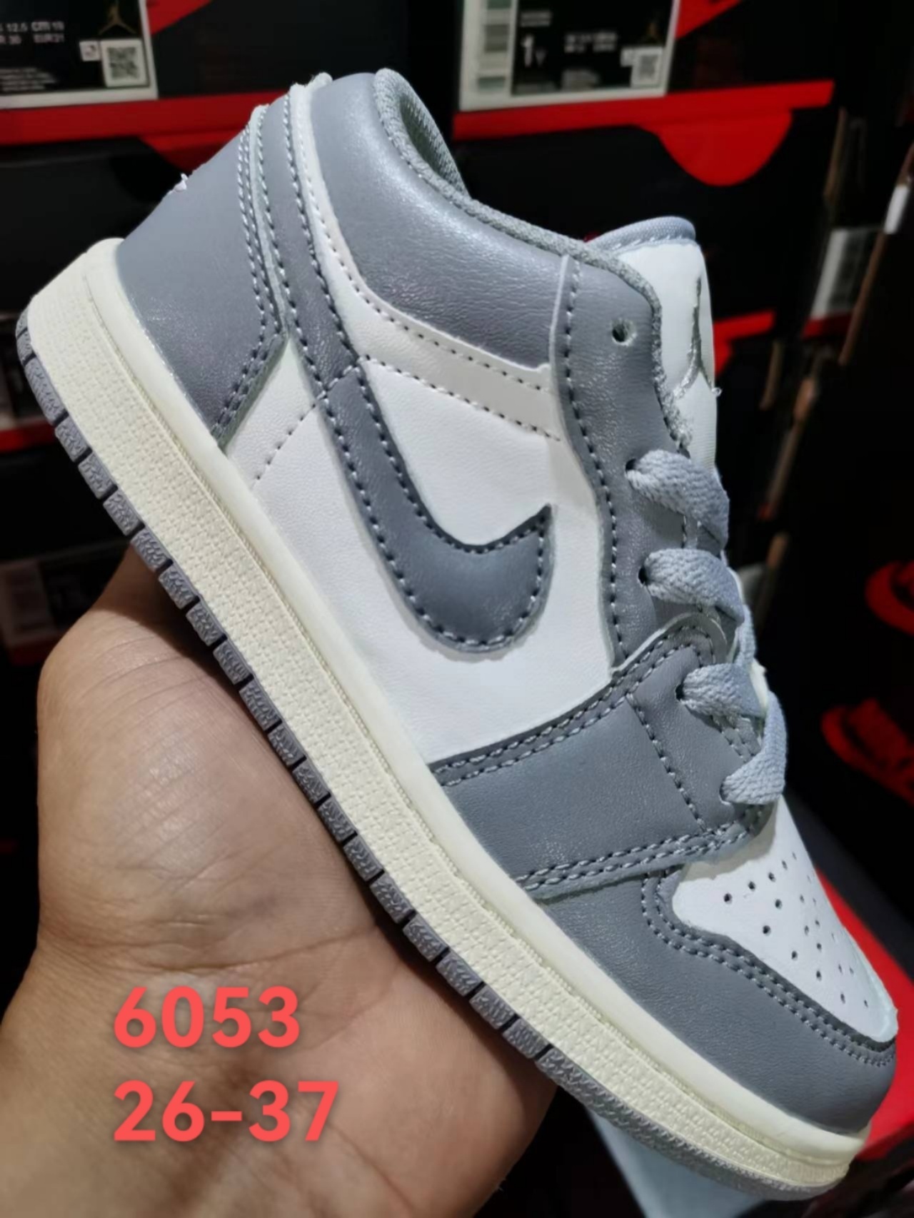 Nike Dunk Low/Air Jordan 1