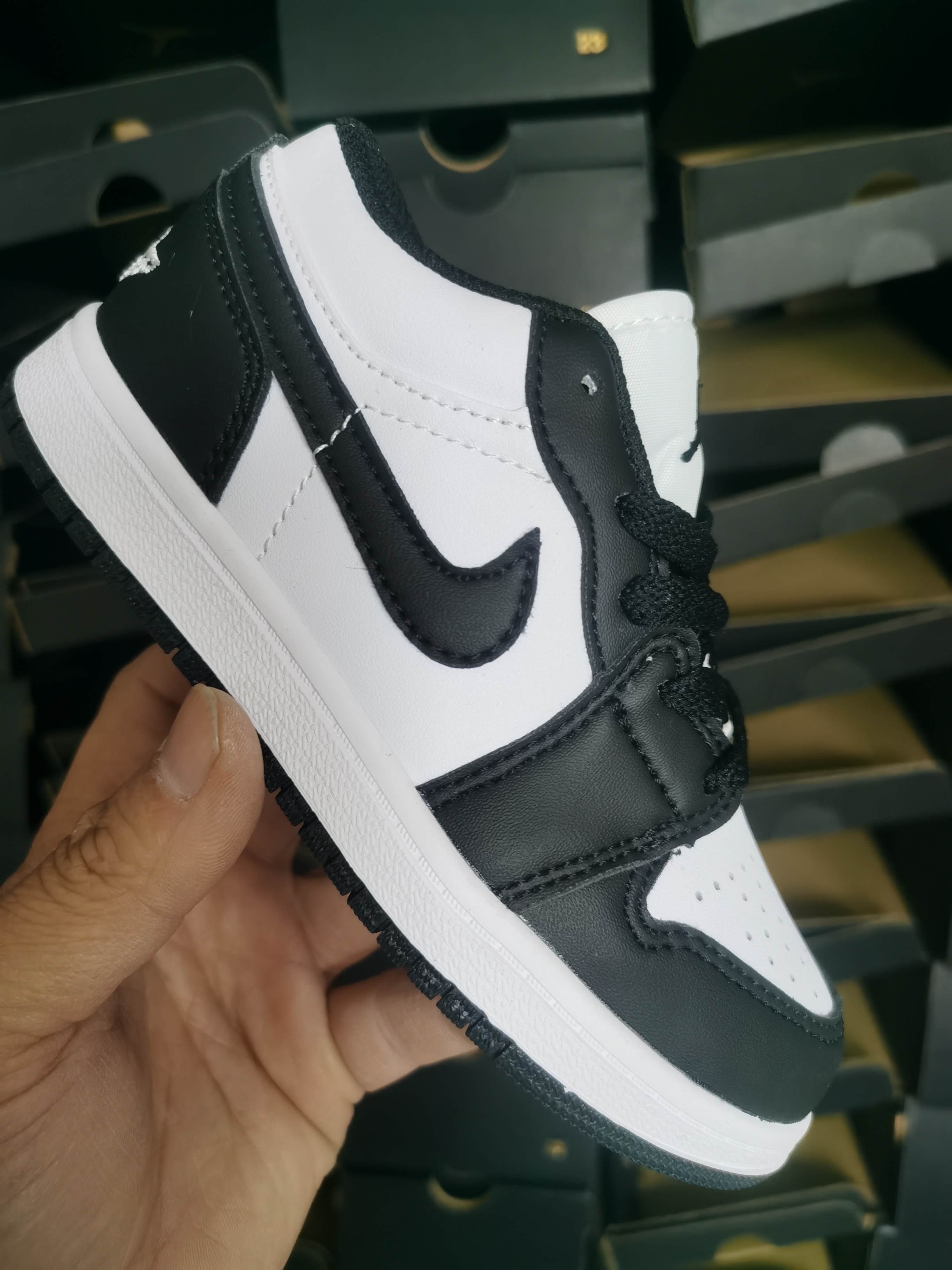 Nike Dunk Low/Air Jordan 1