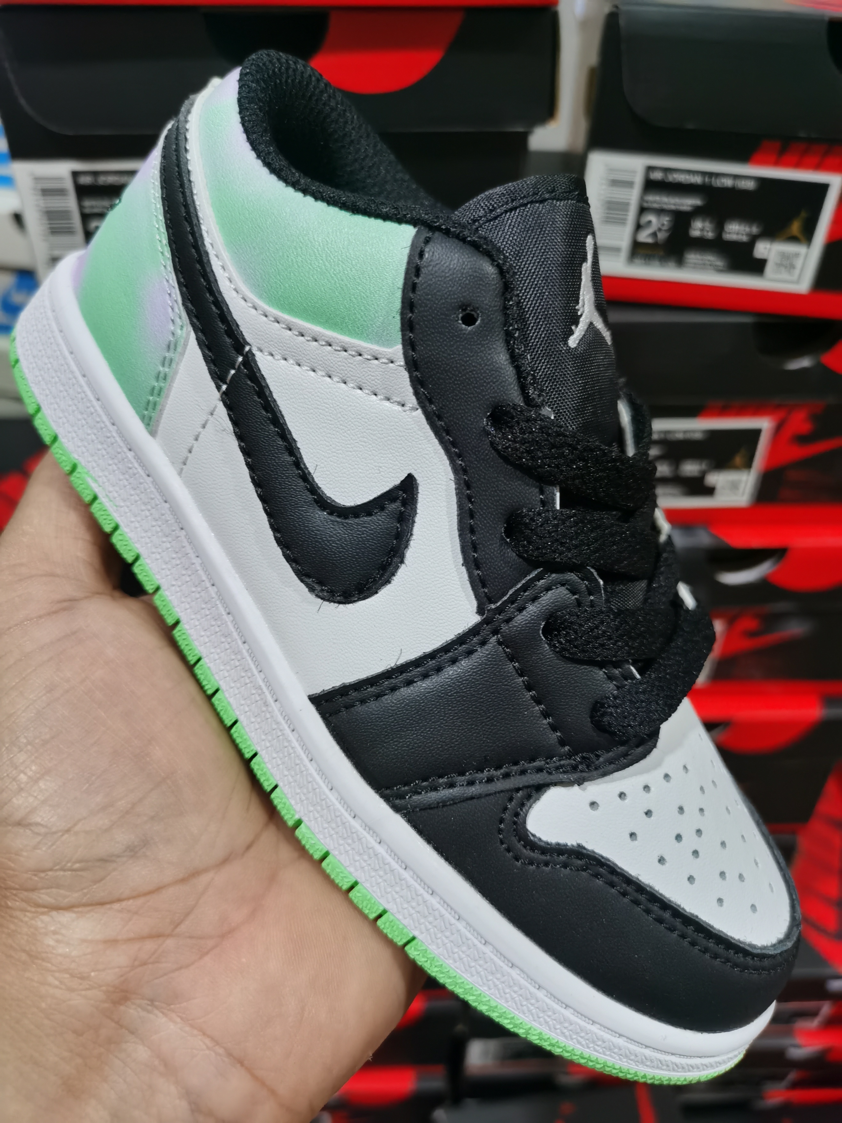 Nike Dunk Low/Air Jordan 1